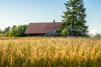 Northern Zen - Bed and Breakfast