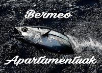 Appartamento