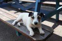 Rod and Line - B&B Landrake