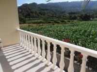 Casa do Reguengo - B&B Arouca