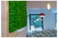 Pensiunea Antia - Bed and Breakfast