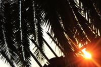 Vicky B Bed and Breakfast - Ferienwohnung Mogwase