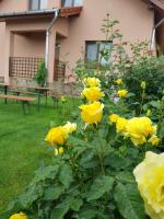 Casa Daria - B&B Haţeg