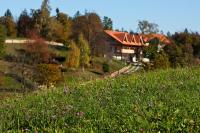 Lavender Hill, Eko Resort & Wellness - B&B Polzela