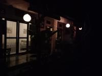 Lionk Bali House - B&B Ubud