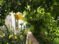 Casa Dany - B&B Corbu