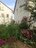 B&B Zweinig - Ferienwohnung Zweinig 01 - Bed and Breakfast Zweinig