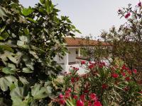 Villa Capo Grillo Cottage - Bed and Breakfast Vulcano