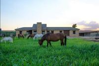 B&B Fuente Palmera - Casa Rural Ecuestre - Bed and Breakfast Fuente Palmera