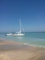 Giardino delle rose - B&B Lido di Fermo