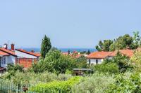 Appartamento con Terrazza