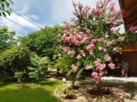 Casa la Petcu - B&B Costineşti