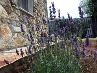 Holiday home Sea La Vie - B&B