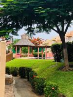 Flamingos - B&B Ixtapa