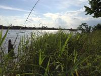 The Durian Lodge at Mekong