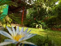 B&B Tangalle - Nethmi Homestay & Restaurant - Bed and Breakfast Tangalle