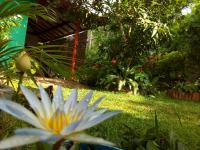 B&B Tangalla - Nethmi Homestay & Restaurant - Bed and Breakfast Tangalla