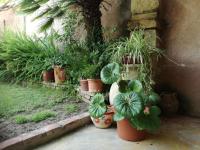 Agriturismo Il Melograno - B&B