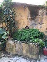 Elegant Apartment in the Center of Rome! - Chambres d'hôtes Rome