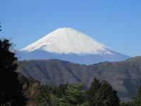 Camera Doppia con Letti Singoli con Area Tatami e Vista sul Monte Fuji