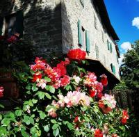Podere I Rovai-apt IL RIFUGIO- in the heart of Tuscany - B&B