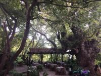 AVRA Rooms - B&B