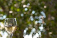 Aello Sea-Seafront Apartments - B&B Skála Foúrkas