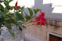 Casa Antica - Ferienwohnung