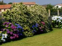 Casita curbeiros - B&B O Grove