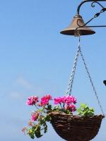 Il Canto Dei Venti - B&B Montecorice