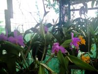 Chambres Dhotes Nicole Maillot - B&B Sainte-Marie