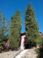 Colle Cornetto - B&B