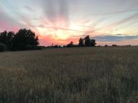 Smultronstallet Gårdshotell - B&B Valleberga