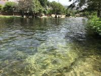 Appartamento con Balcone