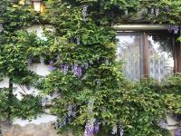Casa cu Suflet - B&B