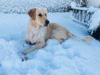 Annslea - Chambres d’hôtes Lisburn