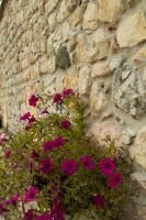 Villa di Cazzano - BioLuxury Living - Ferienwohnung