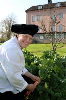 Christinas Gästgifveri B&B - Chambres d’hôtes Ervalla
