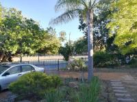 Guinea Vine - B&B Stellenbosch