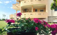 Apartments Vali - B&B Ulcinj