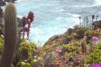 Cabañas Los Molles - Bed and Breakfast Los Molles