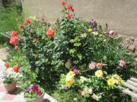 "Bilim" Guest House - Ferienwohnung