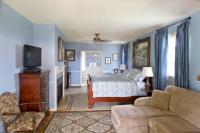 Blue Hydrangea - Pet Friendly