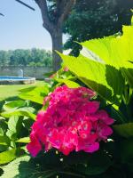 B&B dalLo Zio - B&B Ottobiano