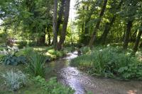 Homestay Vito by Lake - B&B