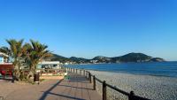 Les Mimosas bord de mer, des plages, du port et de toutes commodités - B&B