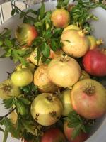 Casa Zuino - B&B Gargnano