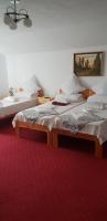 Pensiunea Magura - Ferienwohnung Baia de Fier