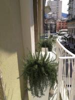 Galleria 38 - B&B La Spezia