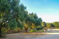 Oasi Degli Allori - B&B Ostuni